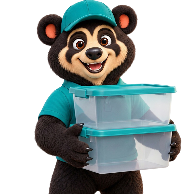 Moca con cajas organizadoras — categoría Organización